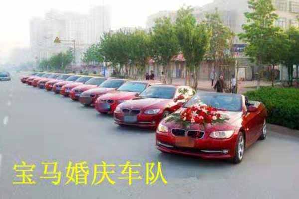 宝马婚庆车队